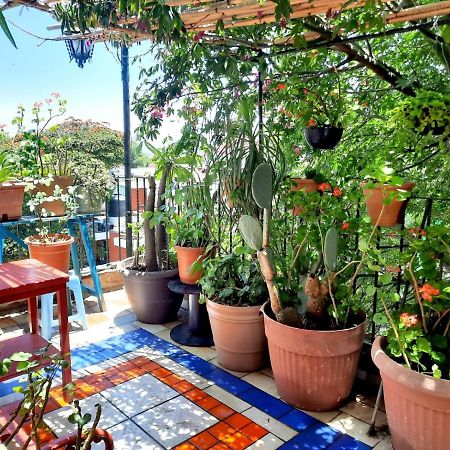 La Terraza Del Pochote Oaxaca Exterior photo
